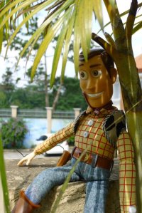 Woody at Tagaytay