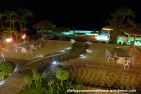 The garden and pool at night